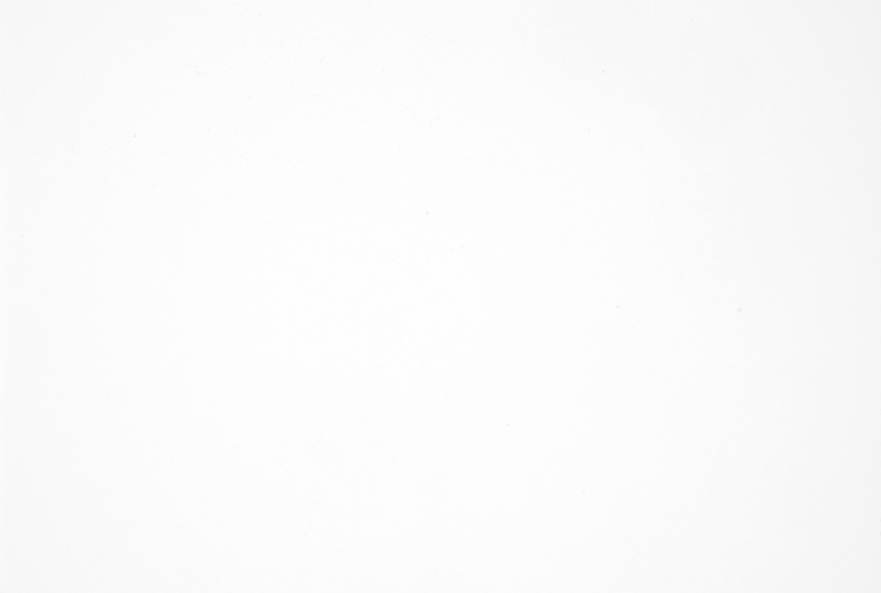 Coloris 0001TF Blanc vue zoomée