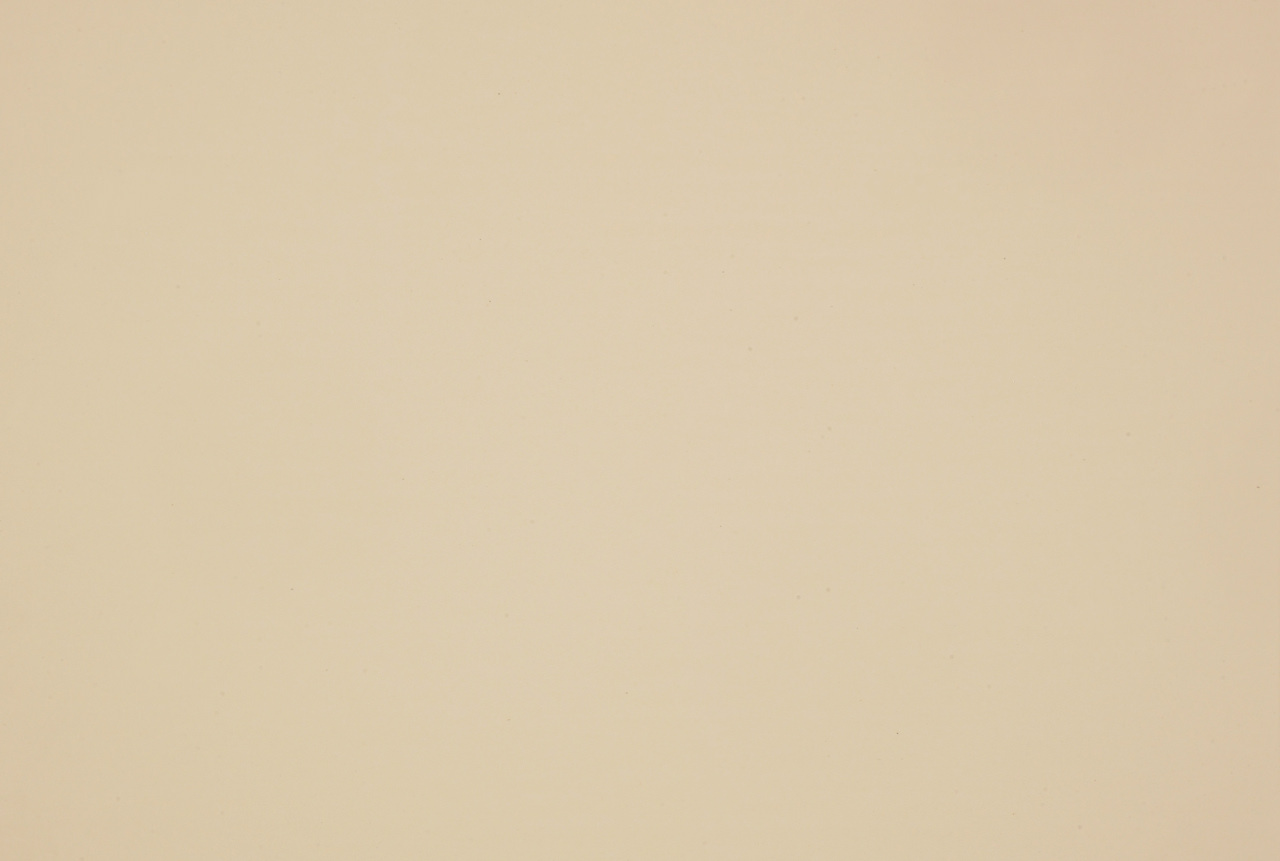 Coloris 0719NTM Beige Luxor vue zoomée