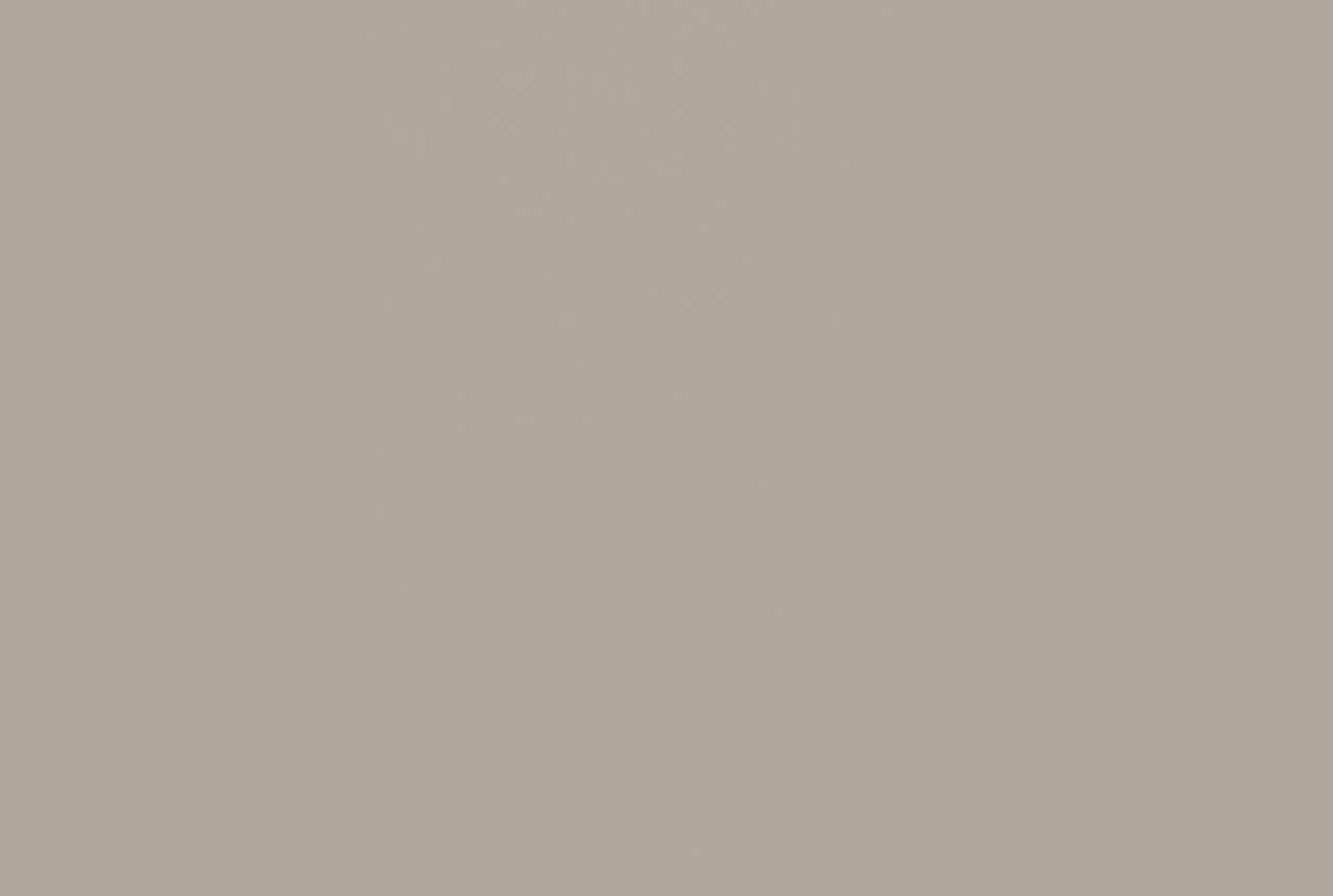 Coloris CO0748NTM Beige Arizona vue zoomée