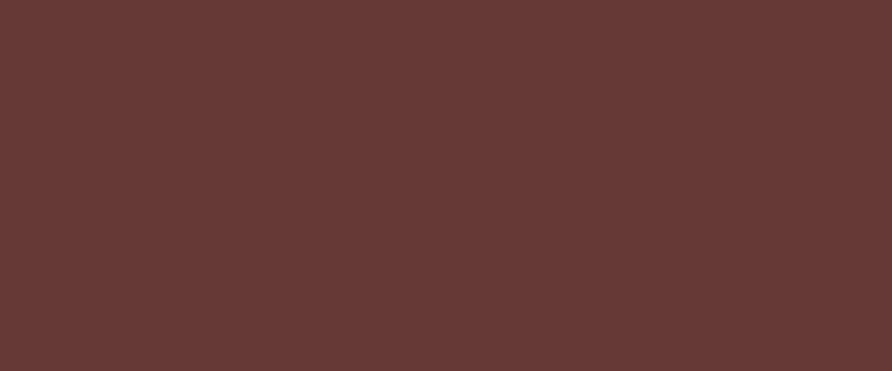 Coloris 0751NTM Rosso Jaipur vue zoomée