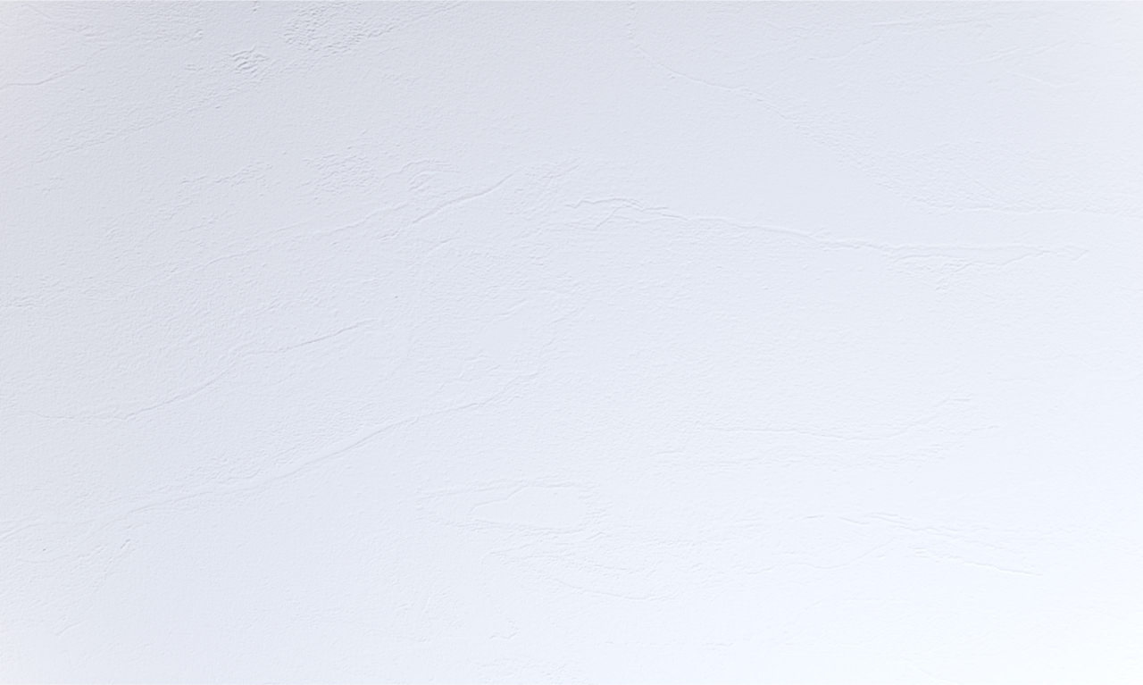 Coloris 1050MOON Blanc moon vue zoomée