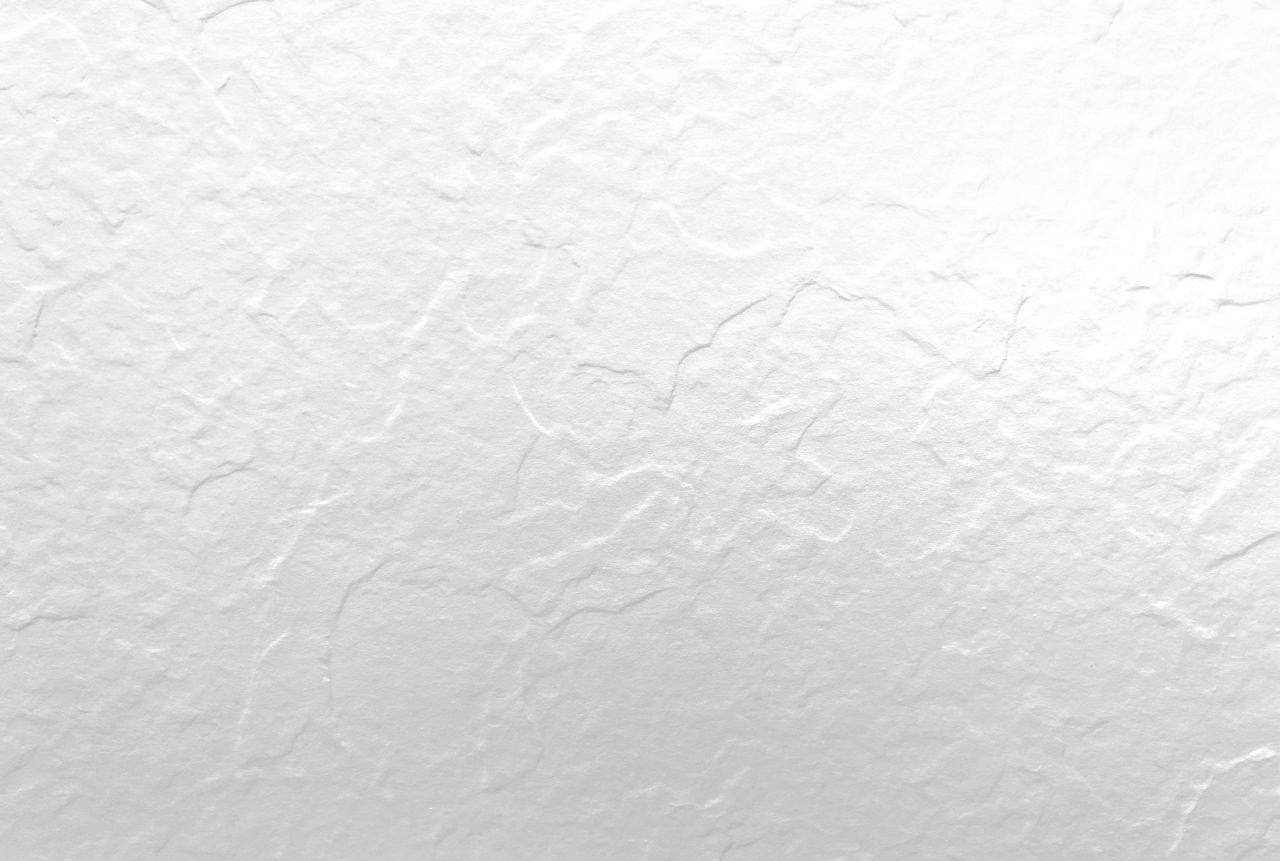Coloris 1060XX Blanc ardoise vue zoomée