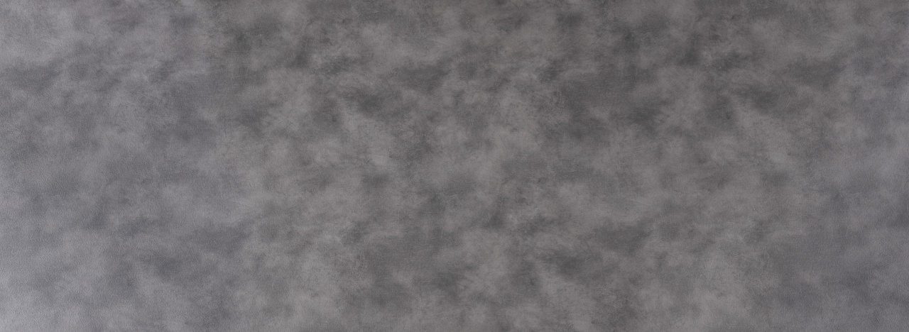 Coloris CO3192R Copperfield gris vue panneau plein fer