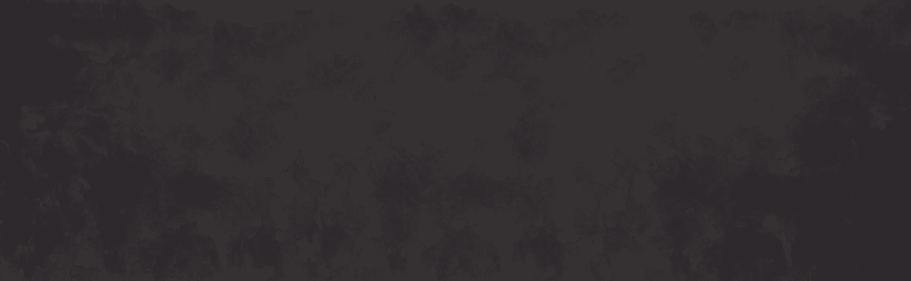 Coloris 3305TF Ardoise dorée vue panneau plein fer