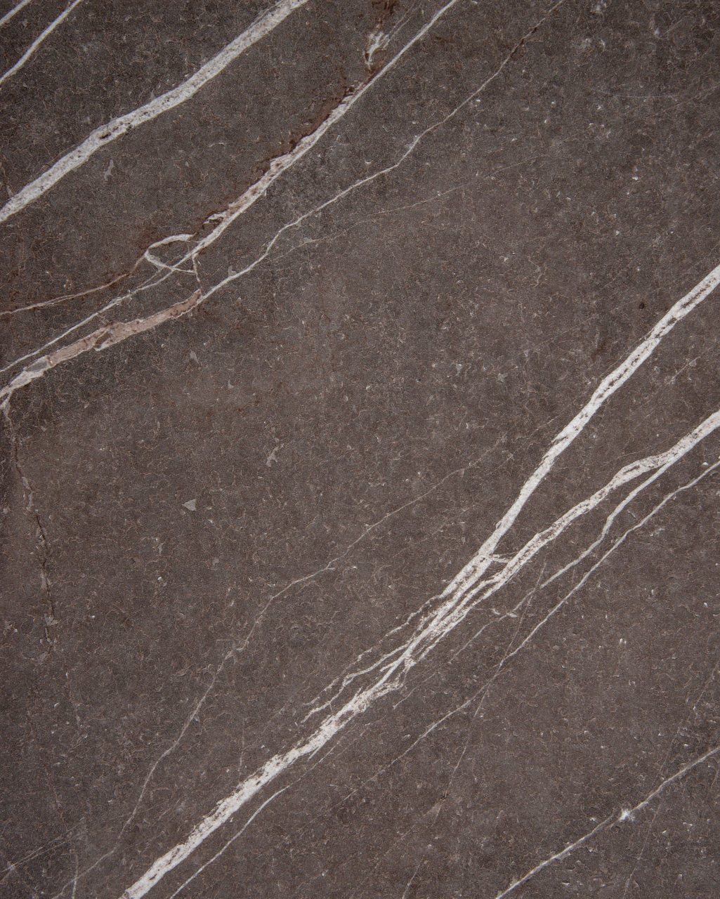 Coloris CO3445KER Grey Pulpis vue zoomée
