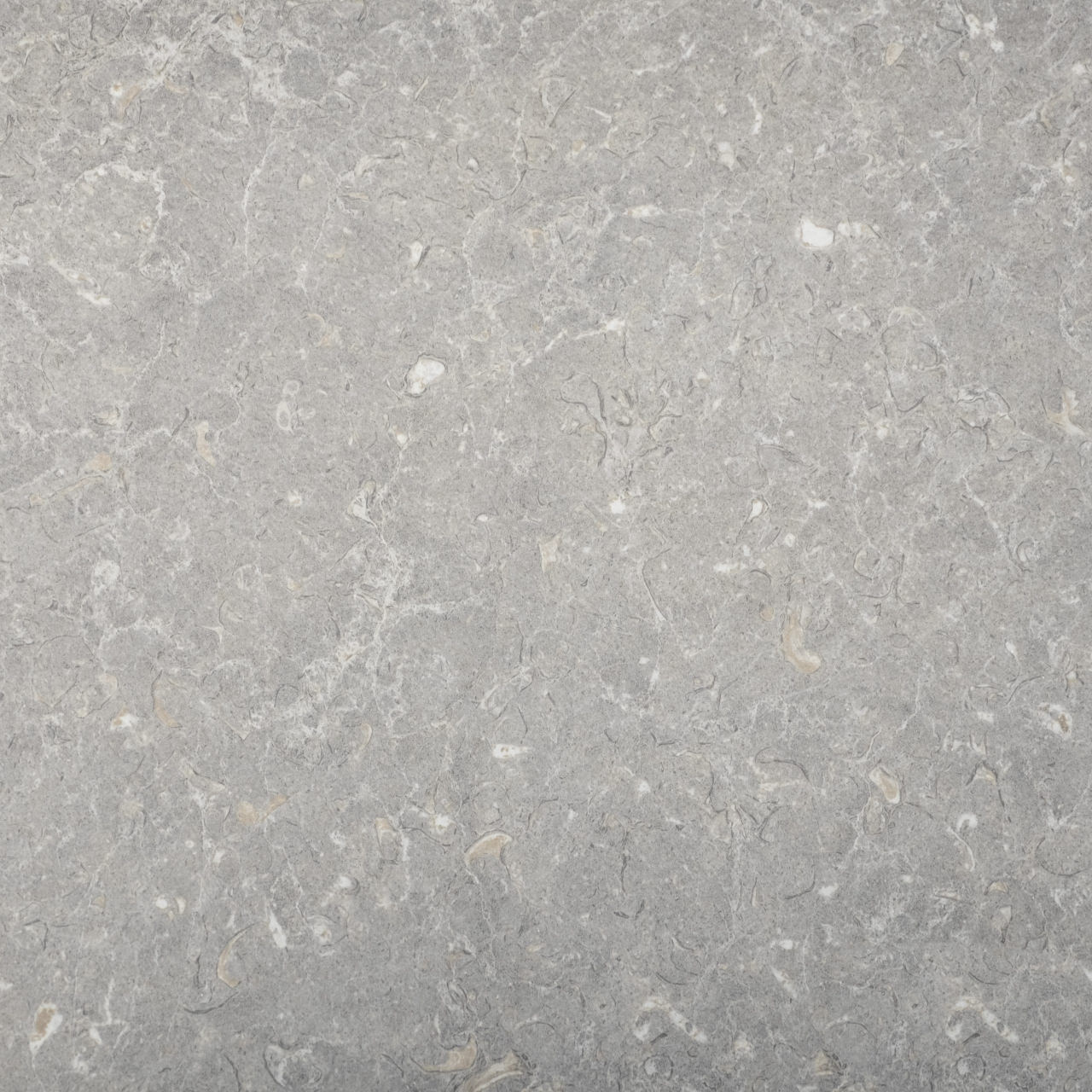Coloris CO3515LUNA Light Shell vue zoomée