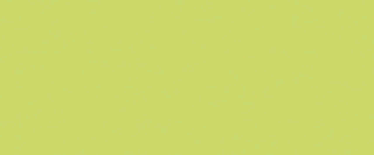 Coloris 4177VO Lime vue panneau plein fer