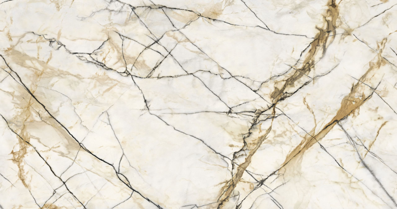 Coloris CO6102SHIKY Elite vue panneau plein fer