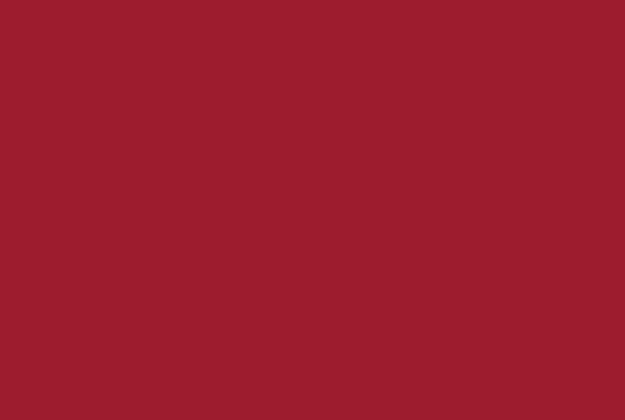 Coloris R036FA Rouge cerise vue zoomée